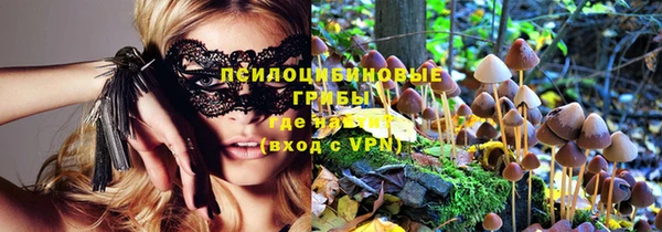 ешки Снежногорск